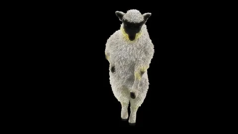Sheep Dancing, with Alpha matte. Stock Footage 269962354