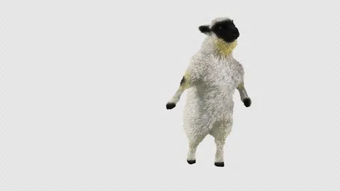 Sheep Dancing, with Alpha matte. Stock Footage 269964069