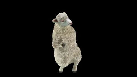 Sheep Dancing, with Alpha matte. Stock Footage 269964148