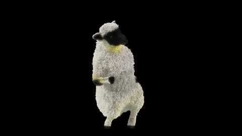 Sheep Dancing, with Alpha matte. Stock Footage 269964321