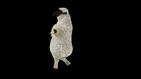 Sheep Dancing, with Alpha matte. Stock Footage 297553300
