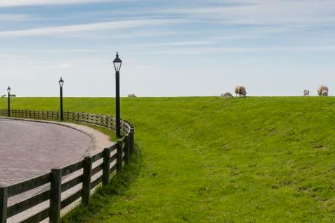 Sheep on Dike Stock Photos