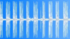 Sheep dog barking in the night village 4 Sound Effect