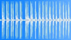 Sheep dog barking in the night village 6 Sound Effect