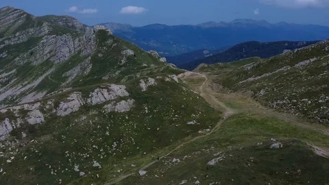 Sheep drinking from a mountain lake Stock Footage 113826029
