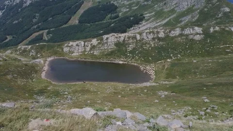 Sheep drinking from a mountain lake Stock Footage 113826260