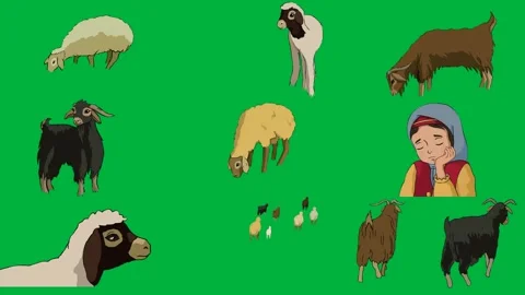 Sheep eating grass green screen donkey background goat cartoon character. Video stock 310563376