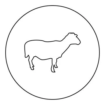 Sheep Ewe Domestic livestock Farm animal cloven hoofed Lamb cattle silhouette Stock Illustration