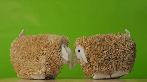 Sheep facing each other. Decorative background. Stock Footage 74107783