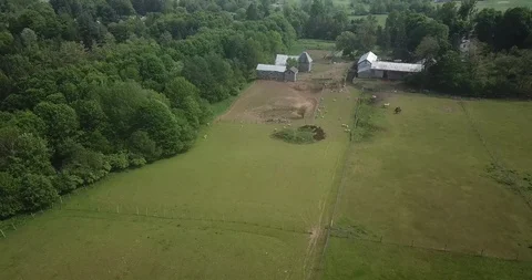 Sheep Farm Видео 109075082