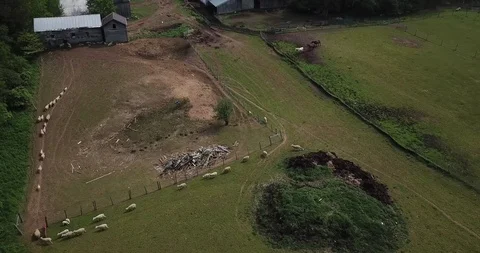 Sheep Farm Stock-Footage 109075093