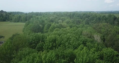 Sheep Farm Stock-Footage 109075107