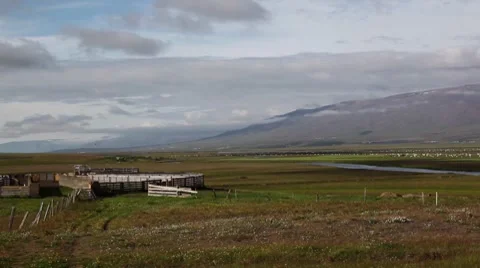 Sheep farm in Iceland Stock Footage 8771052