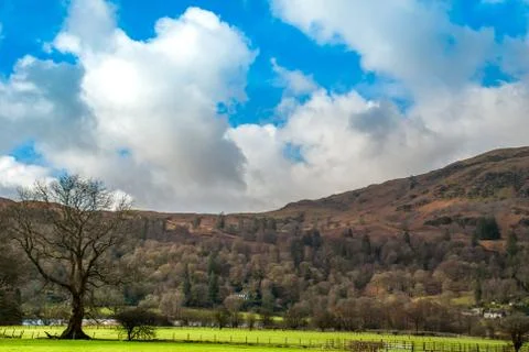Sheep farm with a mountain backdrop. Stock Photos