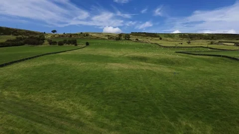 Sheep fields Stock Footage 248461868
