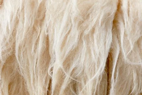 Sheep fleece for texture background Stock Photos