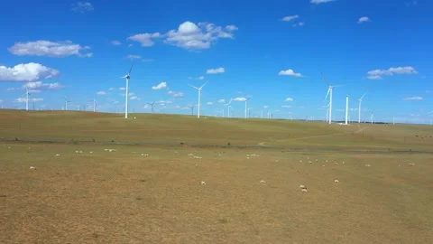 Sheep Flock Under the Blue Sky Stock Footage 333444456