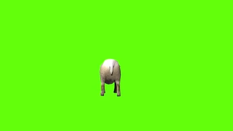 Sheep get hit  green screen animation 3D rendering Stock Footage 297691594