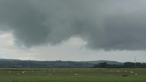 Sheep grazing in field below dark clouds Stock Footage 73560064