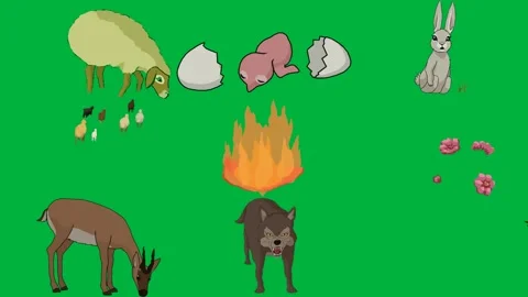 Sheep grazing green screen broken egg it rabbit eating carrot background. Stock Footage 310563386