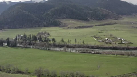 Sheep Grazing in Rural Oregon Drone Aerial View Stock-Footage 335310573
