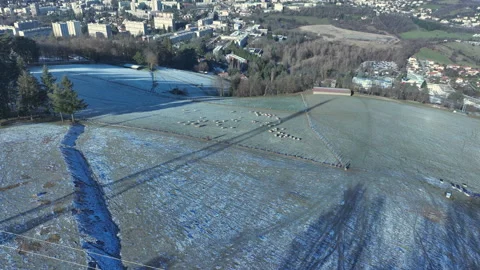 Sheep Grazing on Snowy Fields, Winter Countryside Aerial Stock Footage 326003140