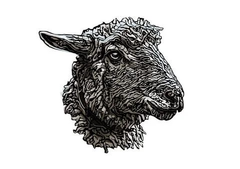 Sheep head vector illustration Stock Illustration