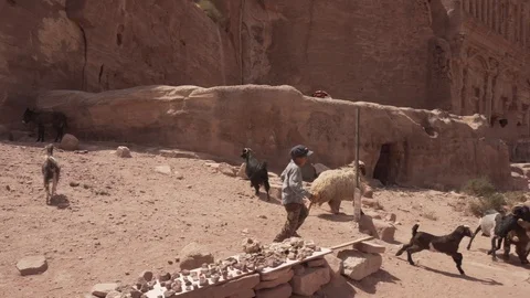 Sheep herder boy in the ancient city Petra, Jordan Stock Footage 125849314