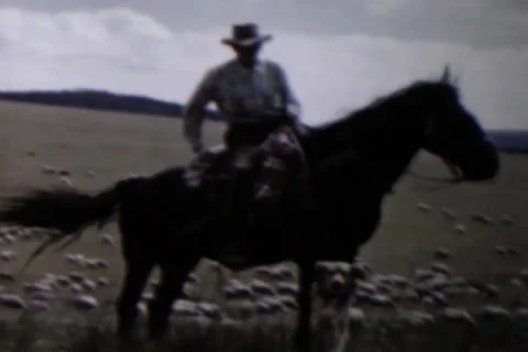 Sheep Herder Stock Footage 24672877