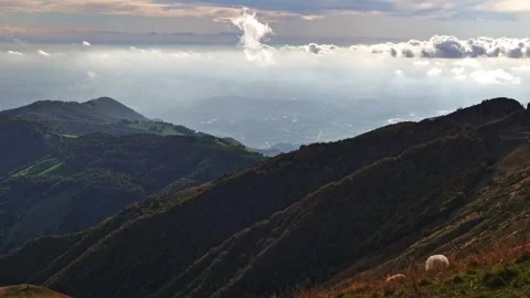 Sheep High Up on the Mountain Side with View over a Mountainscape with Valley Видео 265058469