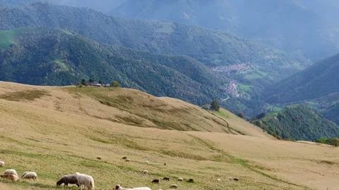 Sheep High Up on the Mountain Side with View over a Mountainscape and Valley Stock Footage 265220283