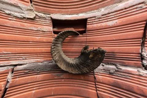 Sheep horn Stock Photos
