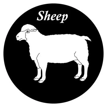 Sheep icon Stock Illustration