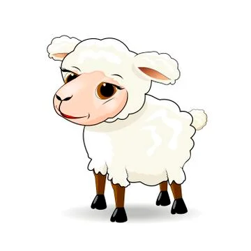 Sheep Stock Illustration