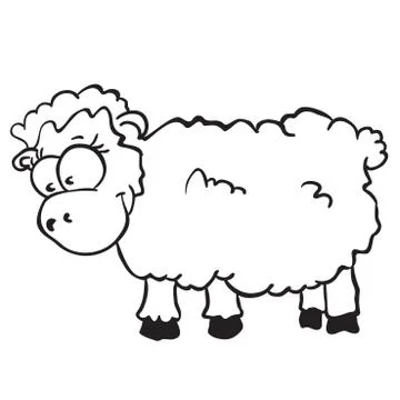 Sheep Stock Illustration
