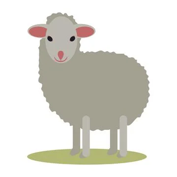 Sheep isolated Stock Illustration