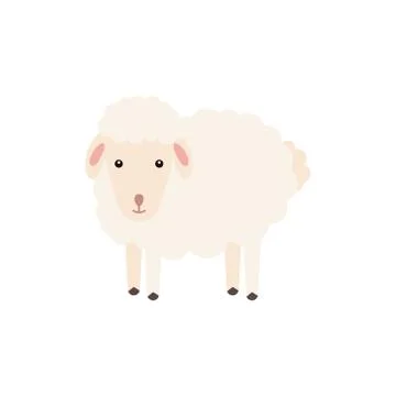 Sheep isolated on a white background vector illustration. Domestic animal. Stock Illustration