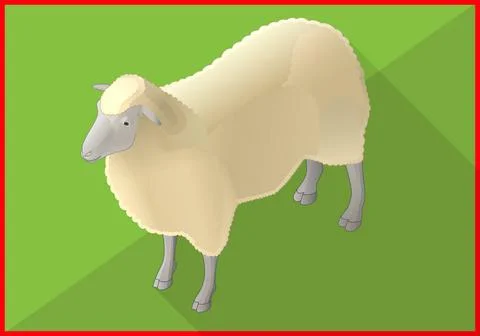Sheep isometric flat vector 3d Sheep isometric perspective view flat vecto... Stock Photos