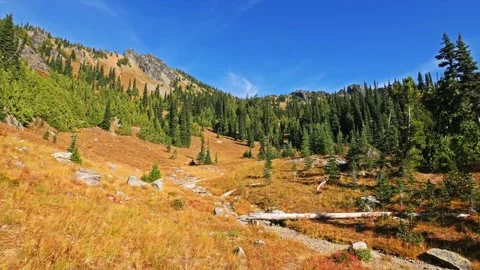 Sheep Lake Trail, Mount Rainier National Park Autumn Alpine Meadow Landscape Stock Footage 332140497