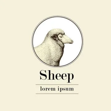 Sheep, logo template, vector hand drawn illustration. Stock Illustration