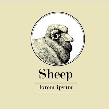 Sheep, logo template, vector hand drawn illustration. Retro style drawing. Great Stock Illustration