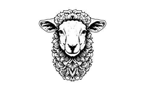 Sheep logotype hand drawn ink sketch. Engraved style vector illustration. Stock Illustration
