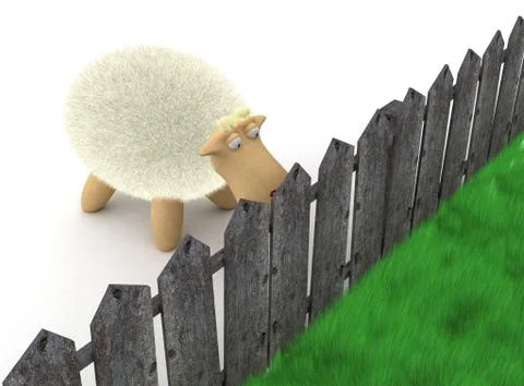 Sheep look at the grass Stock Illustration