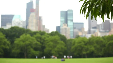 Sheep Meadow Central Park Stock Footage 68640604