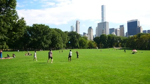 Sheep Meadow in Central Park Stock Footage 83025759