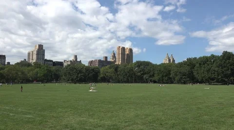 Sheep Meadow in Central Park, Manhattan, New York. Stock Footage