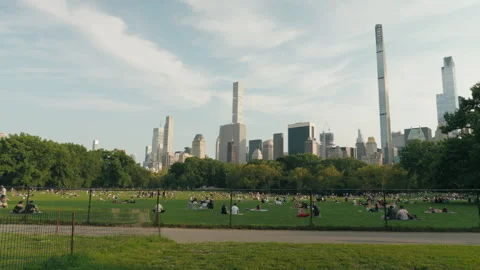 Sheep Meadow In Central Park On A Summer Day Stock Footage 248620198