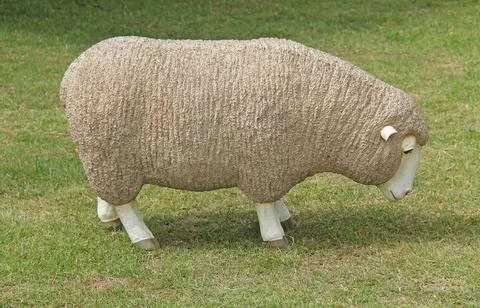 Sheep Model. Stock Photos