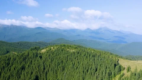 Sheep on Mount Kostrich Stock Footage 171531395