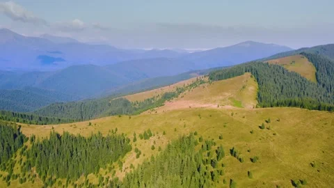 Sheep on Mount Kostrich Stock Footage 171531664